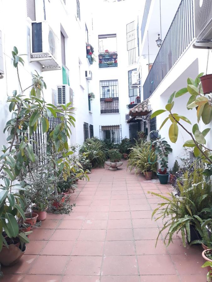 Apartamento Centro Juderia Cordoba Apartman Kültér fotó